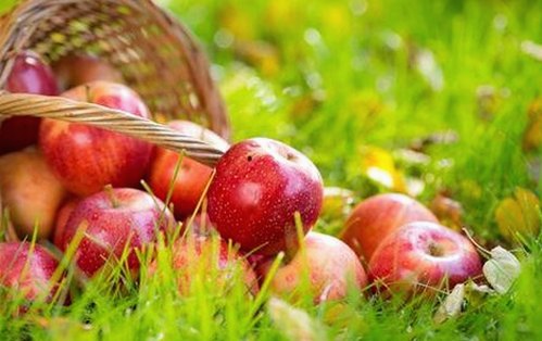 娱乐圈421大瓜揭秘：背后真相与趣味广告梳理